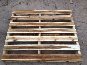Producto